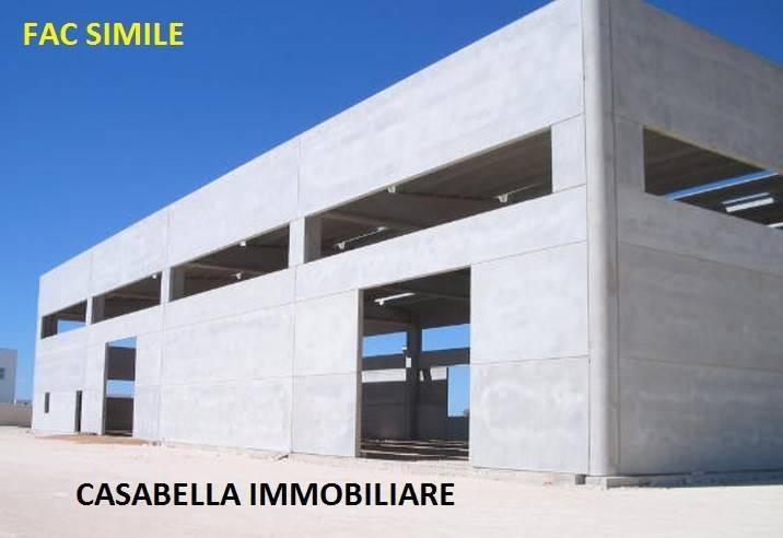 immagine annuncio 6 di 11