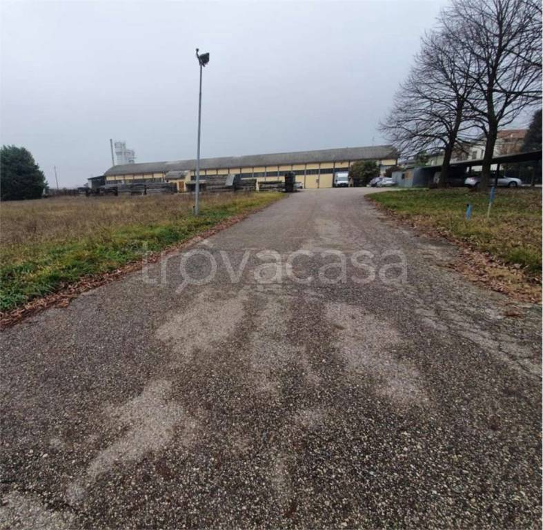 immagine annuncio 6 di 11