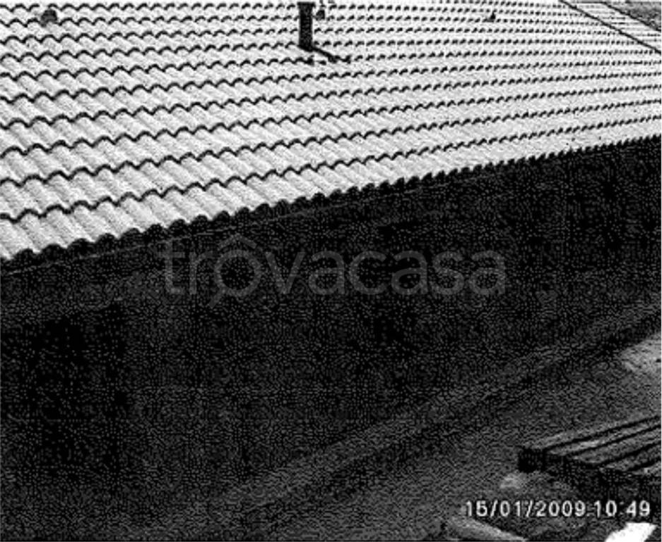 immagine annuncio 9 di 14