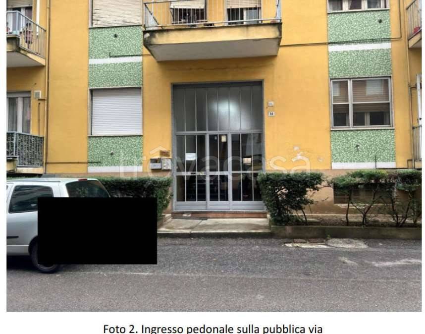 immagine annuncio 2 di 15