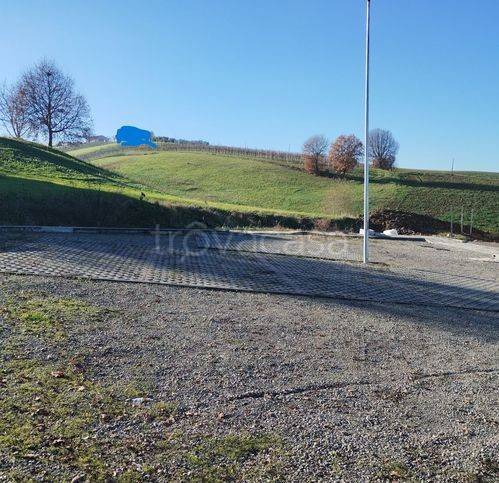 immagine annuncio 4 di 8