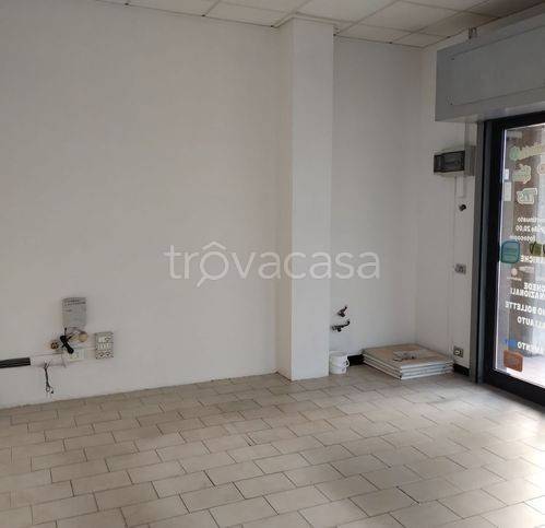 immagine annuncio 5 di 12