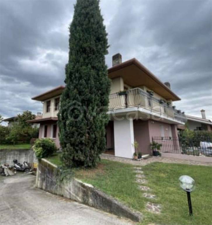 immagine annuncio 2 di 14