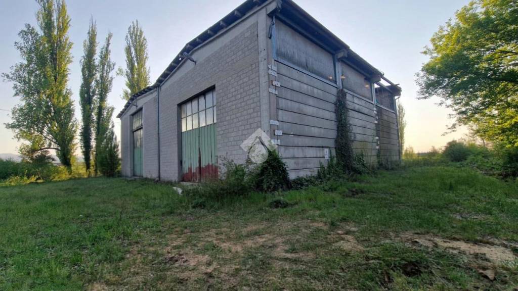 immagine annuncio 11 di 14
