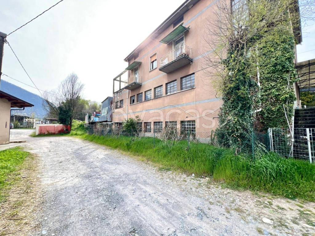 immagine annuncio 1 di 9