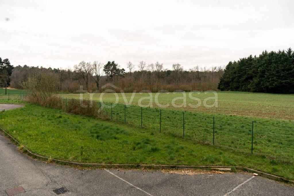 immagine annuncio 10 di 12