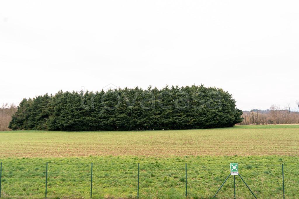 immagine annuncio 9 di 12