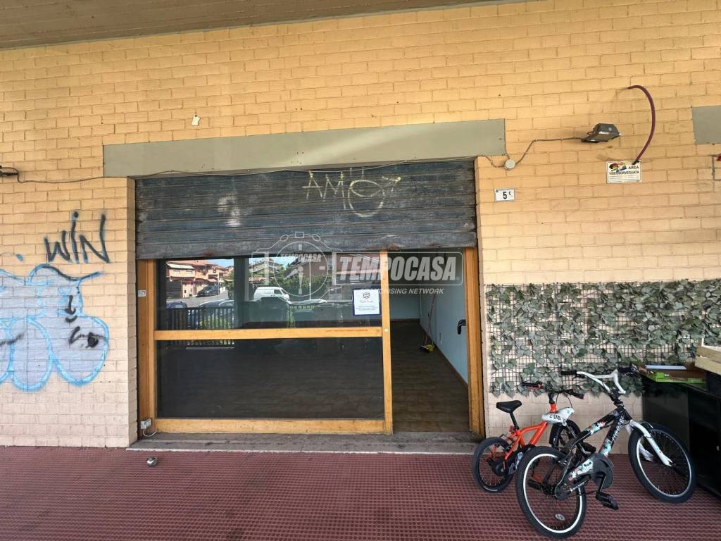 immagine annuncio 6 di 13