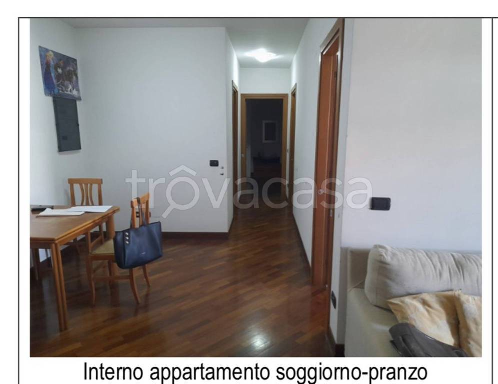 immagine annuncio 3 di 14