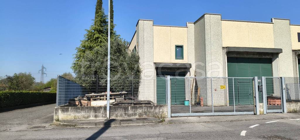 immagine annuncio 2 di 15