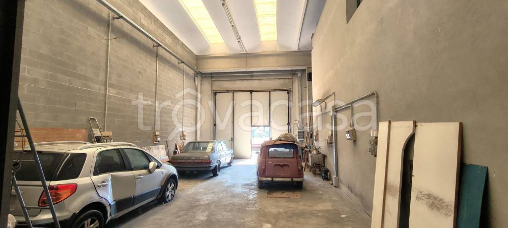 immagine annuncio 5 di 15