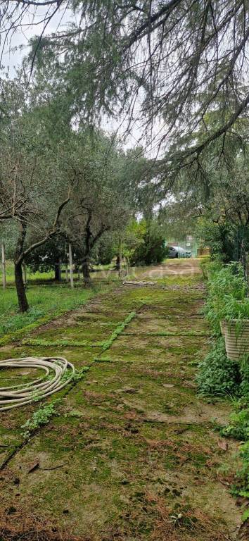 immagine annuncio 5 di 12