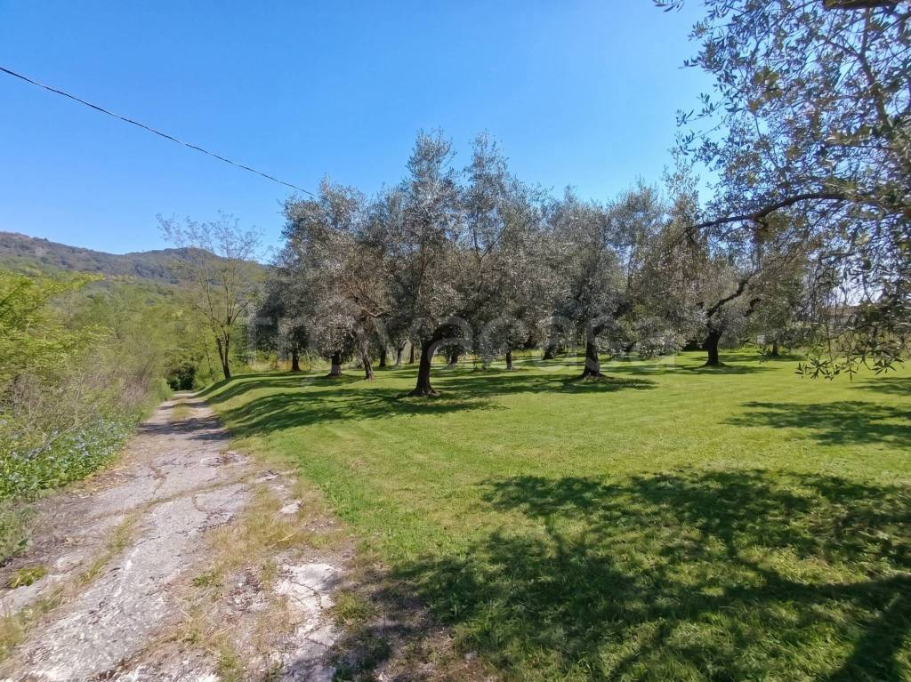 immagine annuncio 9 di 12