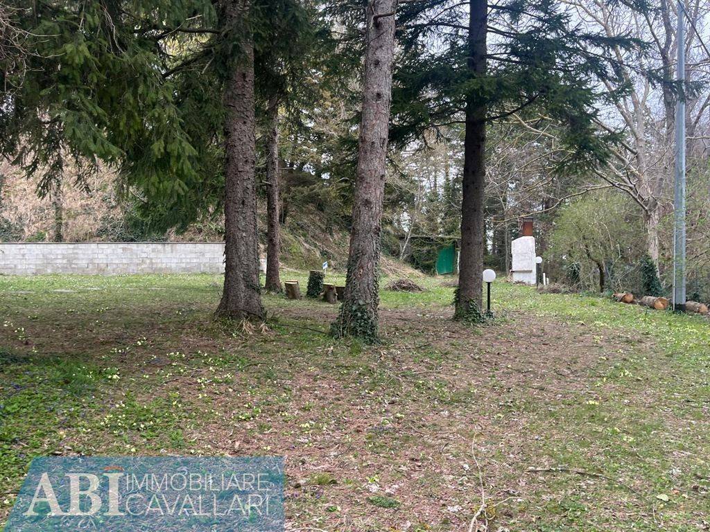 immagine annuncio 7 di 12