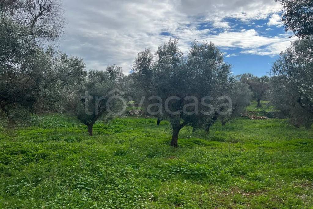 immagine annuncio 5 di 6
