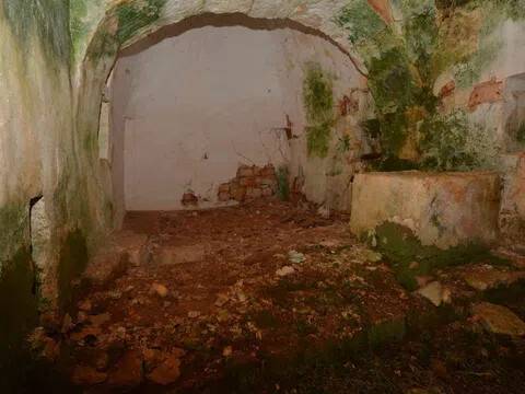 immagine annuncio 5 di 9