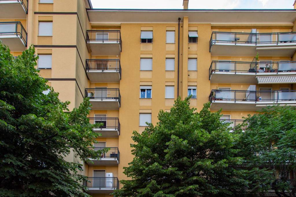 immagine annuncio 7 di 11