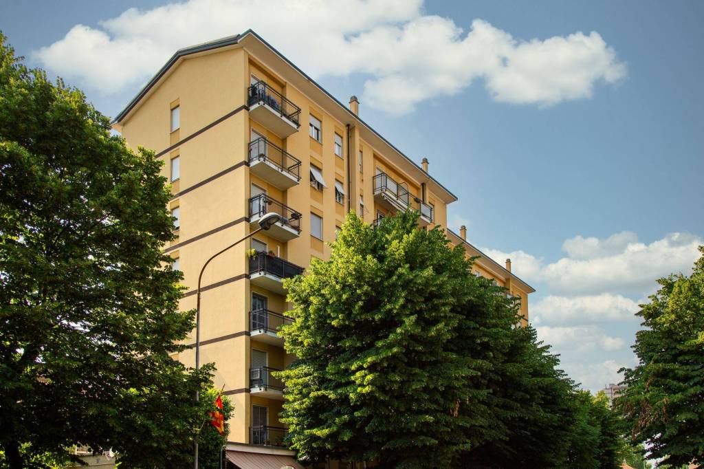 immagine annuncio 8 di 11