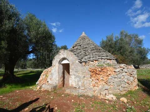 immagine annuncio 5 di 11