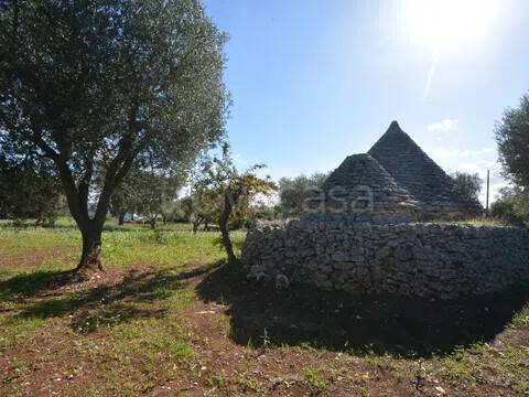 immagine annuncio 6 di 11