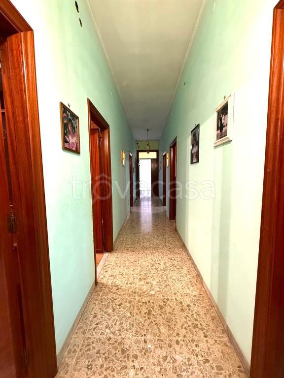 immagine annuncio 10 di 14