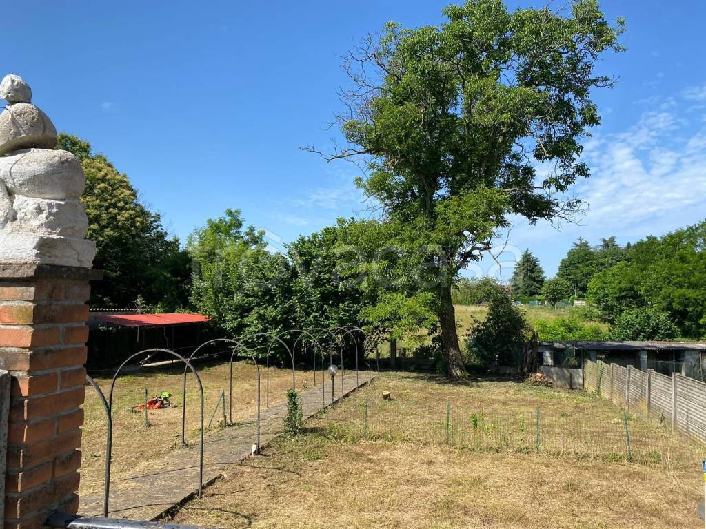 immagine annuncio 1 di 6