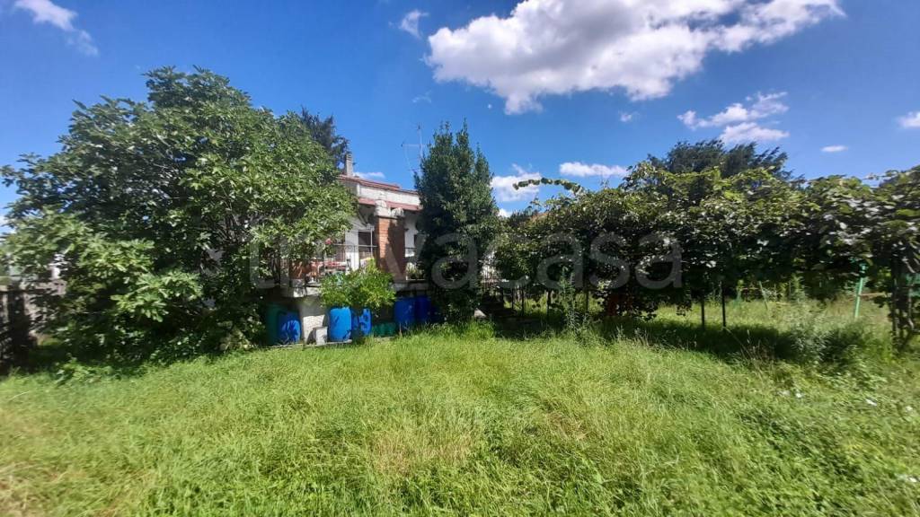 immagine annuncio 3 di 6