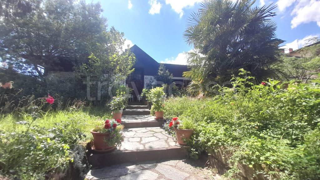 immagine annuncio 5 di 6