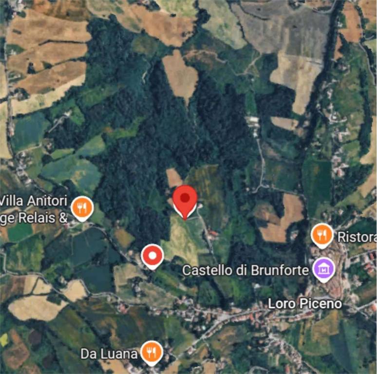 immagine annuncio 10 di 12