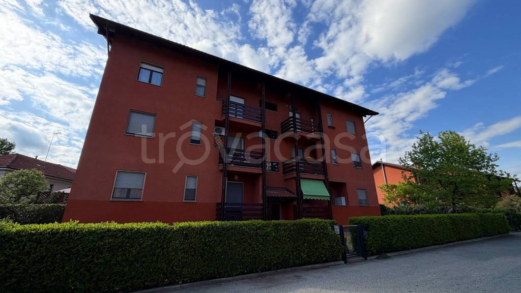 immagine annuncio 2 di 15