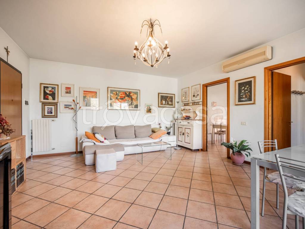 immagine annuncio 1 di 14