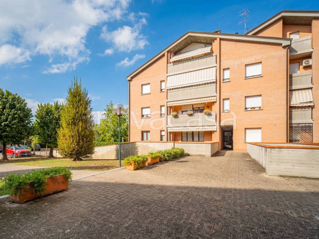 immagine annuncio 11 di 14