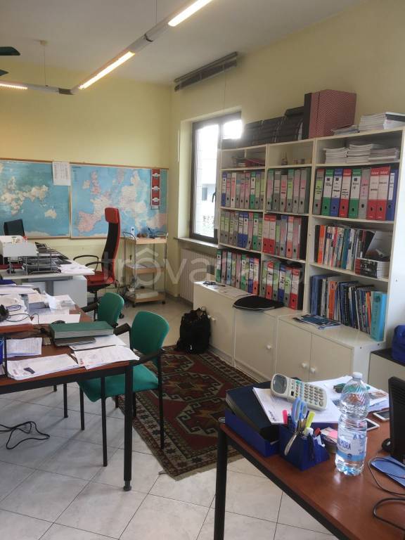 immagine annuncio 5 di 11