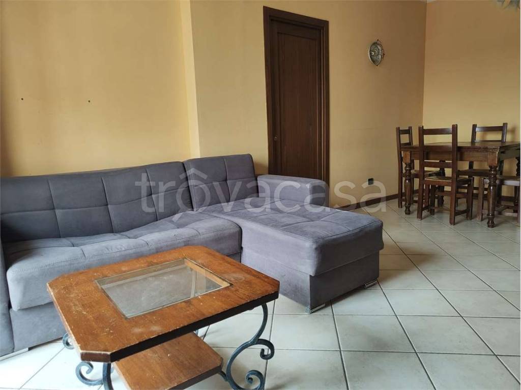 immagine annuncio 3 di 14