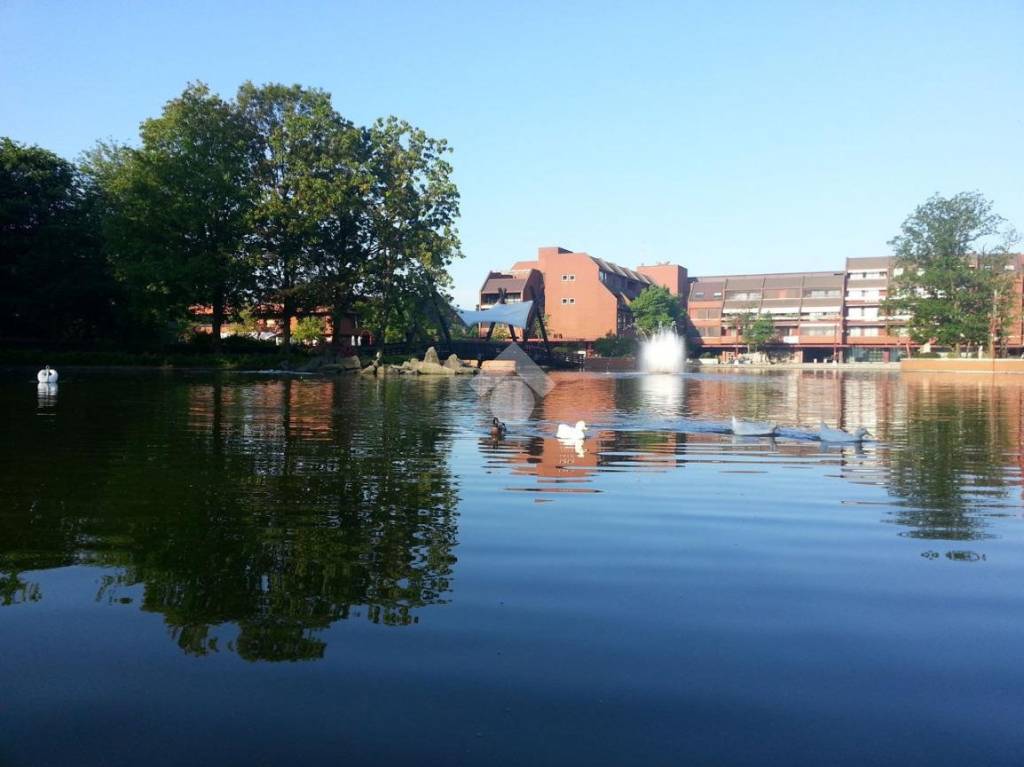 immagine annuncio 13 di 14