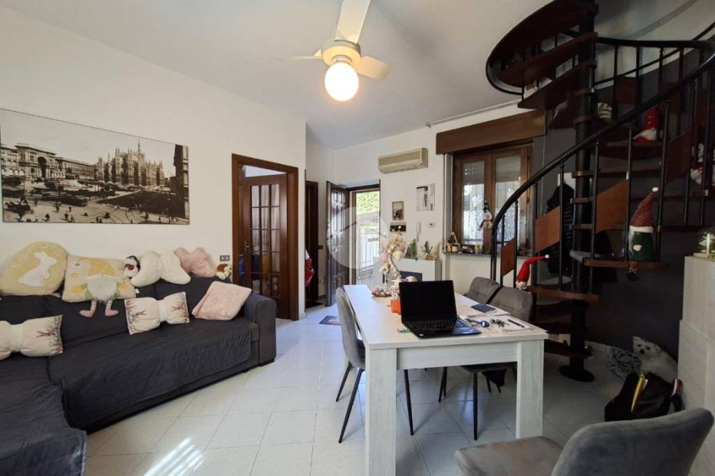 immagine annuncio 6 di 15