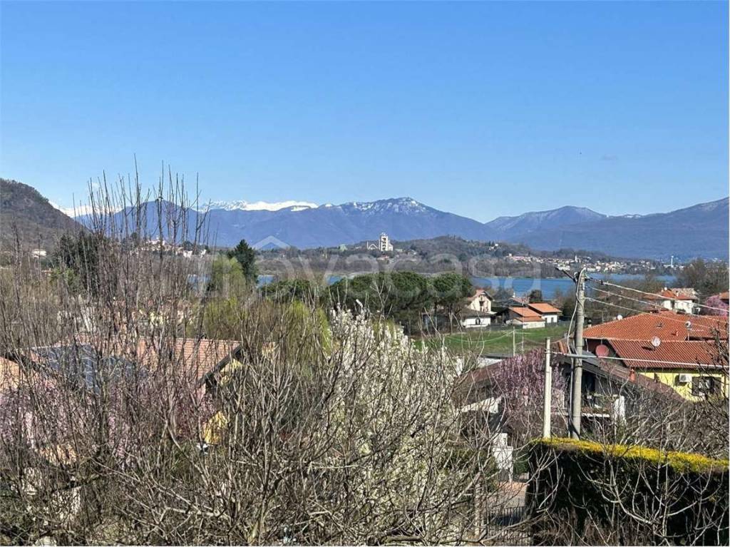 immagine annuncio 3 di 7