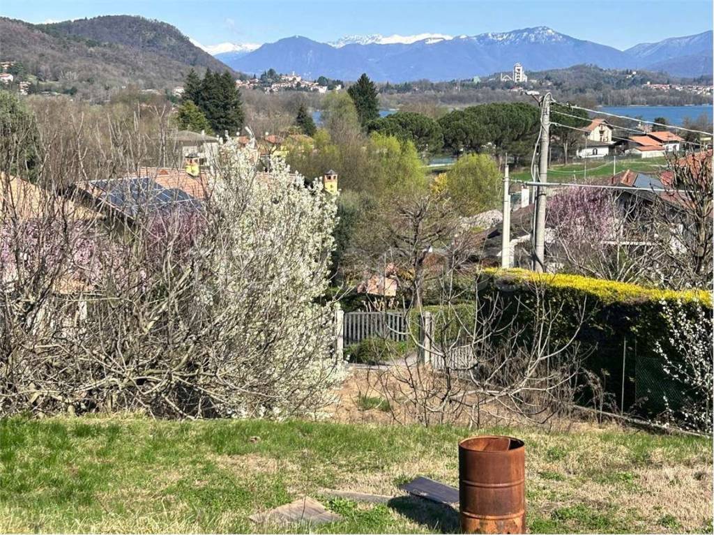 immagine annuncio 5 di 7