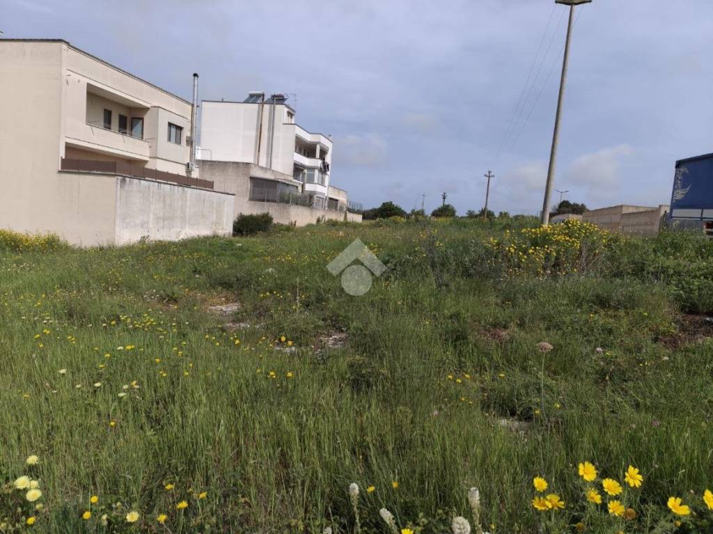 immagine annuncio 3 di 14