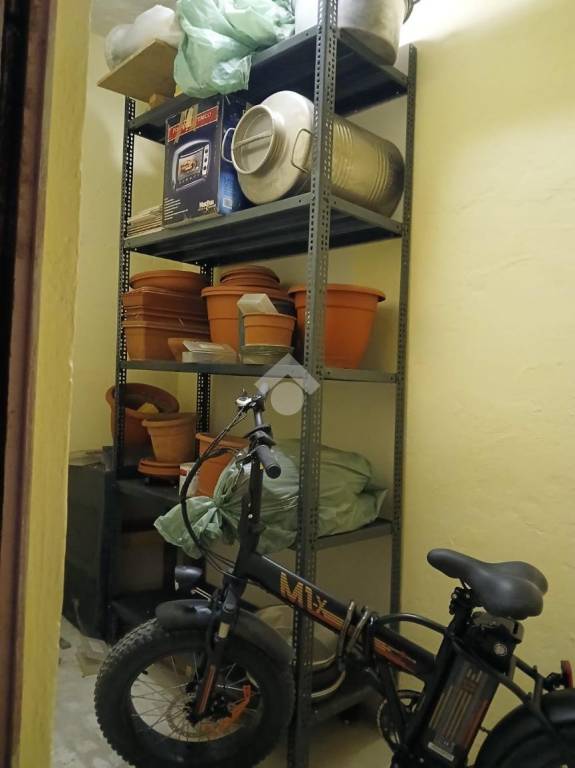 immagine annuncio 11 di 14