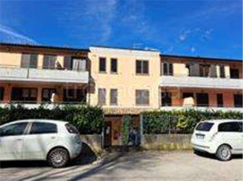 immagine annuncio 3 di 11