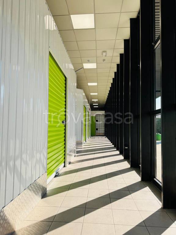 immagine annuncio 5 di 13