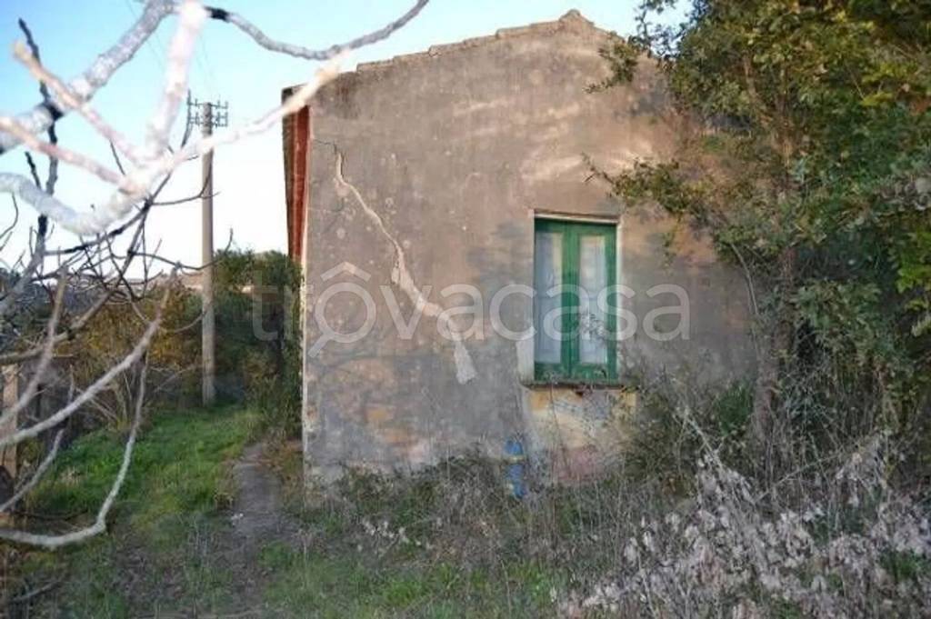 immagine annuncio 6 di 9