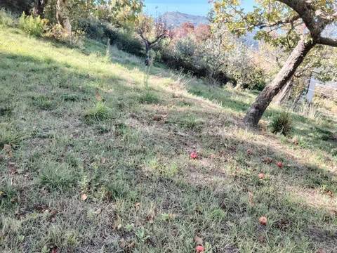 immagine annuncio 9 di 14