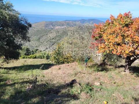 immagine annuncio 12 di 14