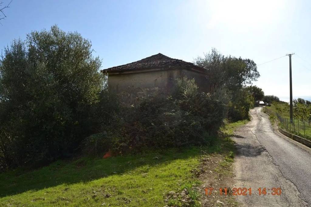 immagine annuncio 11 di 13