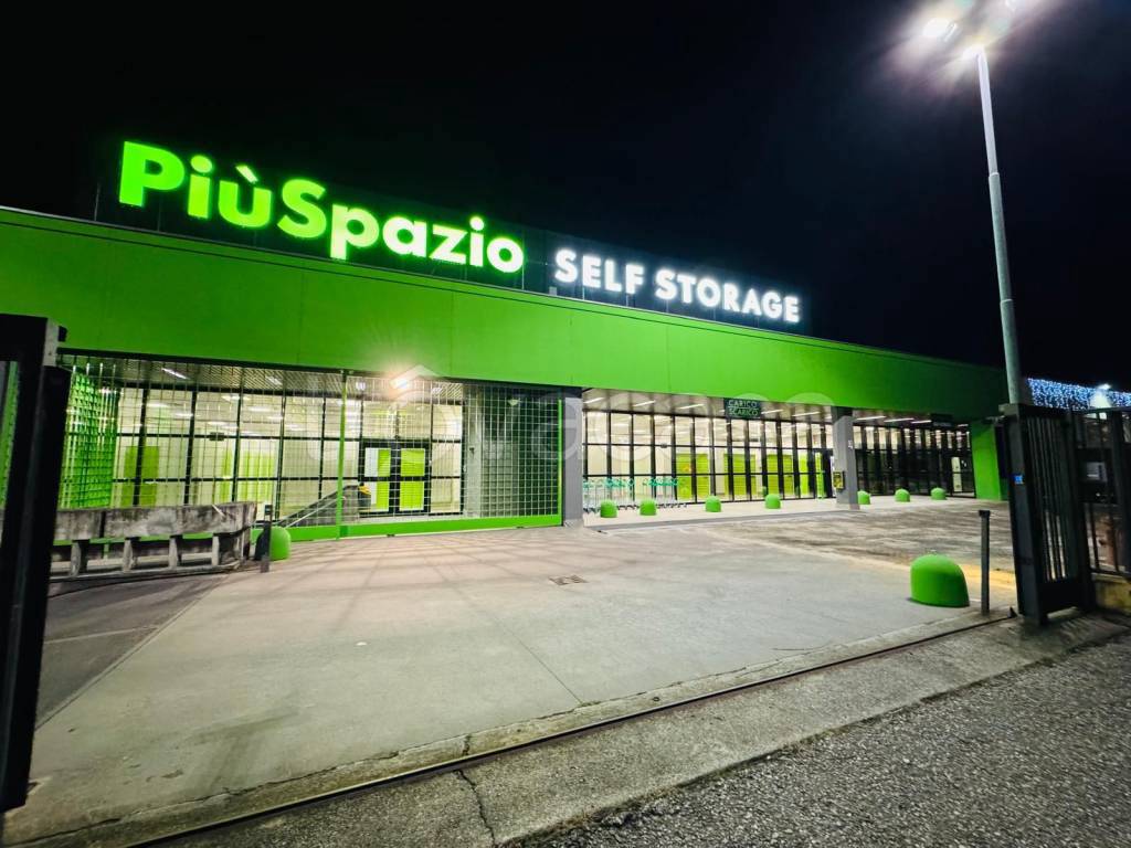 immagine annuncio 9 di 12