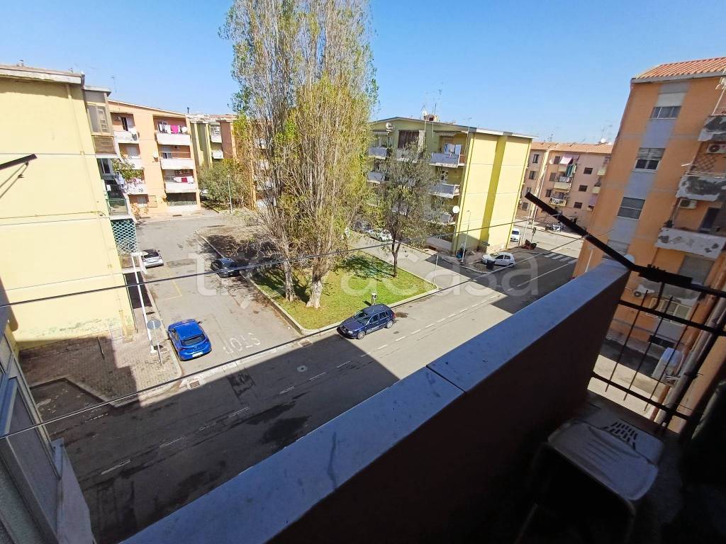 immagine annuncio 9 di 13