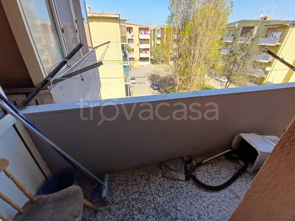 immagine annuncio 10 di 13