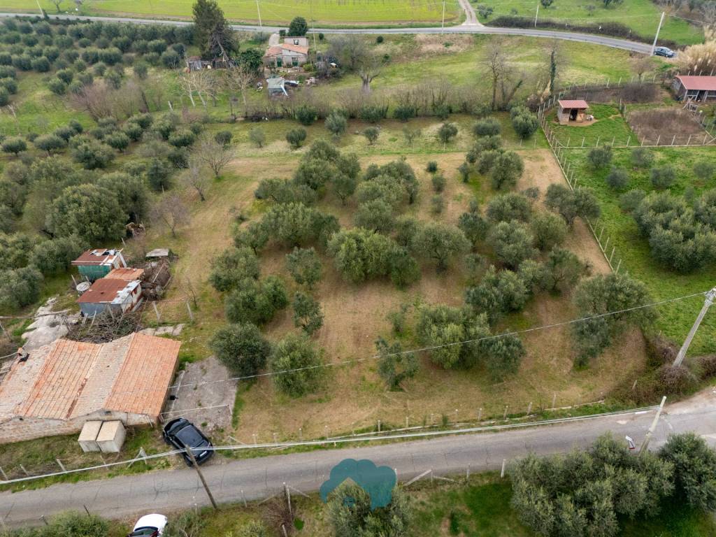 immagine annuncio 11 di 15